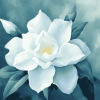 Gardenia Blossoms Diamond Painting