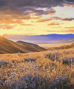 Golden California Desert Diamond Painting