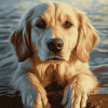 Golden Retriever Summer Fun Diamond Painting