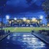 Goodison Park Night Scene Diamond Painting