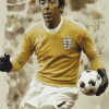 Gordon Banks Soccer Legend Diamond Painting