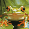 Grenouille Frog Diamond Painting