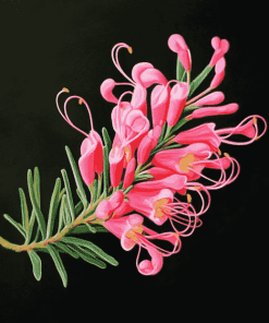 Grevillea Blossoms Diamond Painting