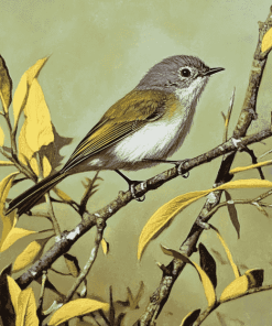 Grey Warbler Birds Diamond Painting