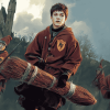 Harry Potter Quidditch Series Diamond Painting