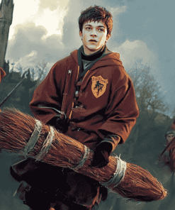 Harry Potter Quidditch Series Diamond Painting