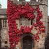 Hever Castle Wall Red Plants Diamond Painting