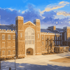 Historic Cameron Indoor Stadium Diamond Painting