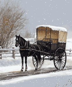 Horse-Drawn Amish Buggy Diamond Painting