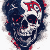 Houston Texans Skull Diamond Painting