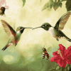 Hummingbird and Bee Nature Diamond Painting