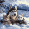 Husky and Cat Snow Adventure Diamond Painting