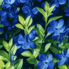 Indigo Leaf Flower Diamond Painting