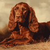 Irish Setter Puppies Diamond Painting