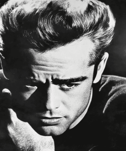 James Dean Black and White Diamond Painting