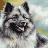 Keeshond Hound Diamond Painting