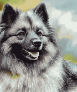 Keeshond Hound Diamond Painting