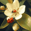 Ladybug on Orange Blossom Diamond Painting