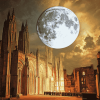 Lincoln Cathedral Night Scene Diamond Painting