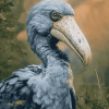 Majestic Shoebill Diamond Painting