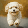 Maltipoo Puppy Diamond Painting