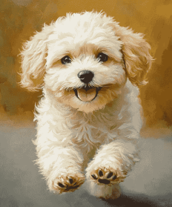 Maltipoo Puppy Diamond Painting