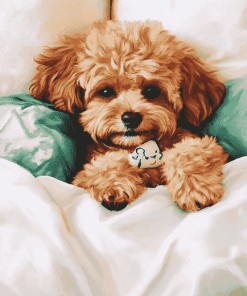 Maltipoo Puppy In Bed Diamond Painting