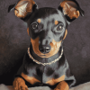 Manchester Terrier Puppy Diamond Painting