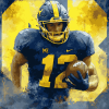 Michigan Wolverines Football Diamond Painting