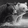 Monochrome Bear Wildlife Diamond Painting