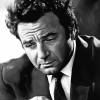 Monochrome Peter Falk Diamond Painting