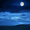 Moonlit Beach Seascape Diamond Painting