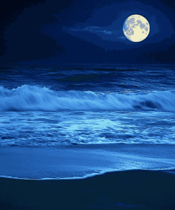 Moonlit Beach Seascape Diamond Painting