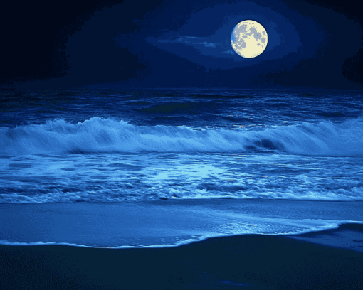 Moonlit Beach Seascape Diamond Painting