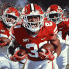 NC State Wolfpack Football Stars Diamond Painting