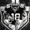 Oakland Raiders Football Players Diamond Painting