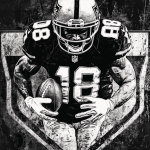 Oakland Raiders Football Players Diamond Painting