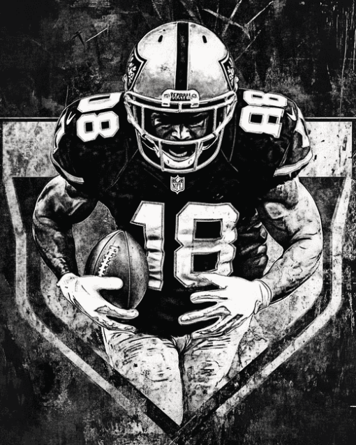 Oakland Raiders Football Players Diamond Painting