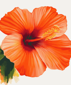 Orange Hibiscus Blossoms Diamond Painting