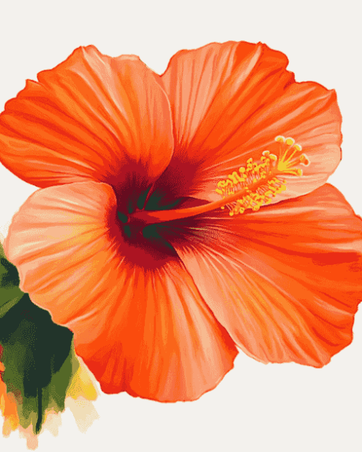 Orange Hibiscus Blossoms Diamond Painting