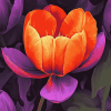 Orange Purple Tulip Blossoms Diamond Painting