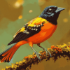 Oriol Bird Beauty Diamond Painting