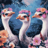 Ostrich Trio Bird Diamond Painting