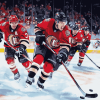 Ottawa Senators Ice Hockey Diamond Painting