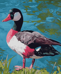 Paradise Shelduck Bird Diamond Painting