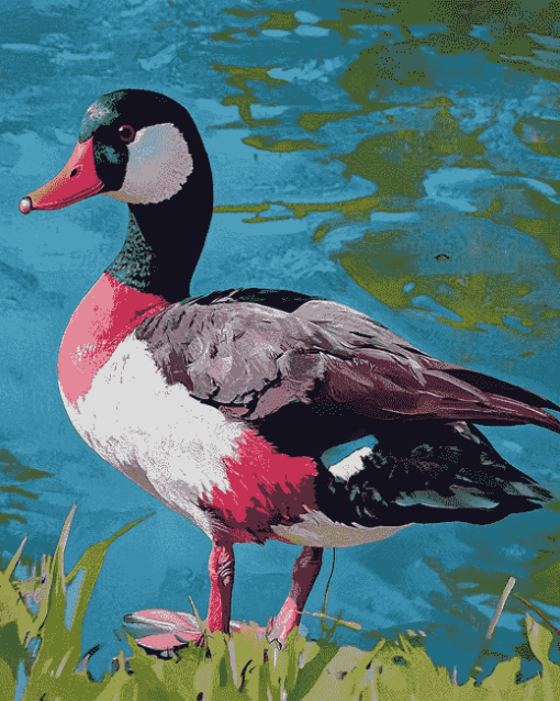 Paradise Shelduck Bird Diamond Painting