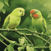 Parrotlet Birds on Tree Branch Diamond Painting