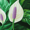 Peace Lily Blossom Diamond Painting