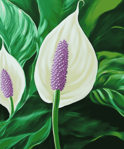 Peace Lily Blossom Diamond Painting