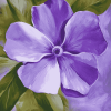 Periwinkle Purple Blossoms Diamond Painting